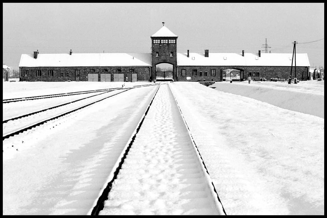 Five eyewitnesses in hell. The Auschwitz stories.