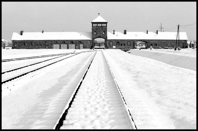 Introduction: Five eyewitnesses in hell. The Auschwitz stories.